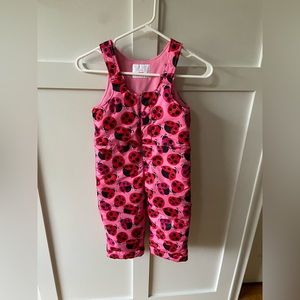 3T Snow Pants Toddler Girl
